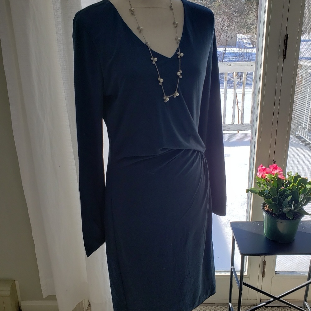 Ann Taylor dress